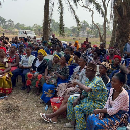 A Lifeline to the Roots: The Story of Mrs. Amadi