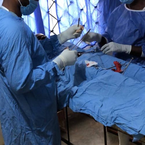 The League of Old Isu Professionals Medical Missions MM2 2021